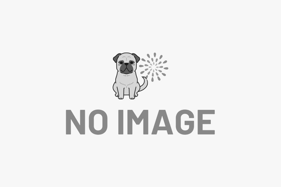 セミナー3日目！