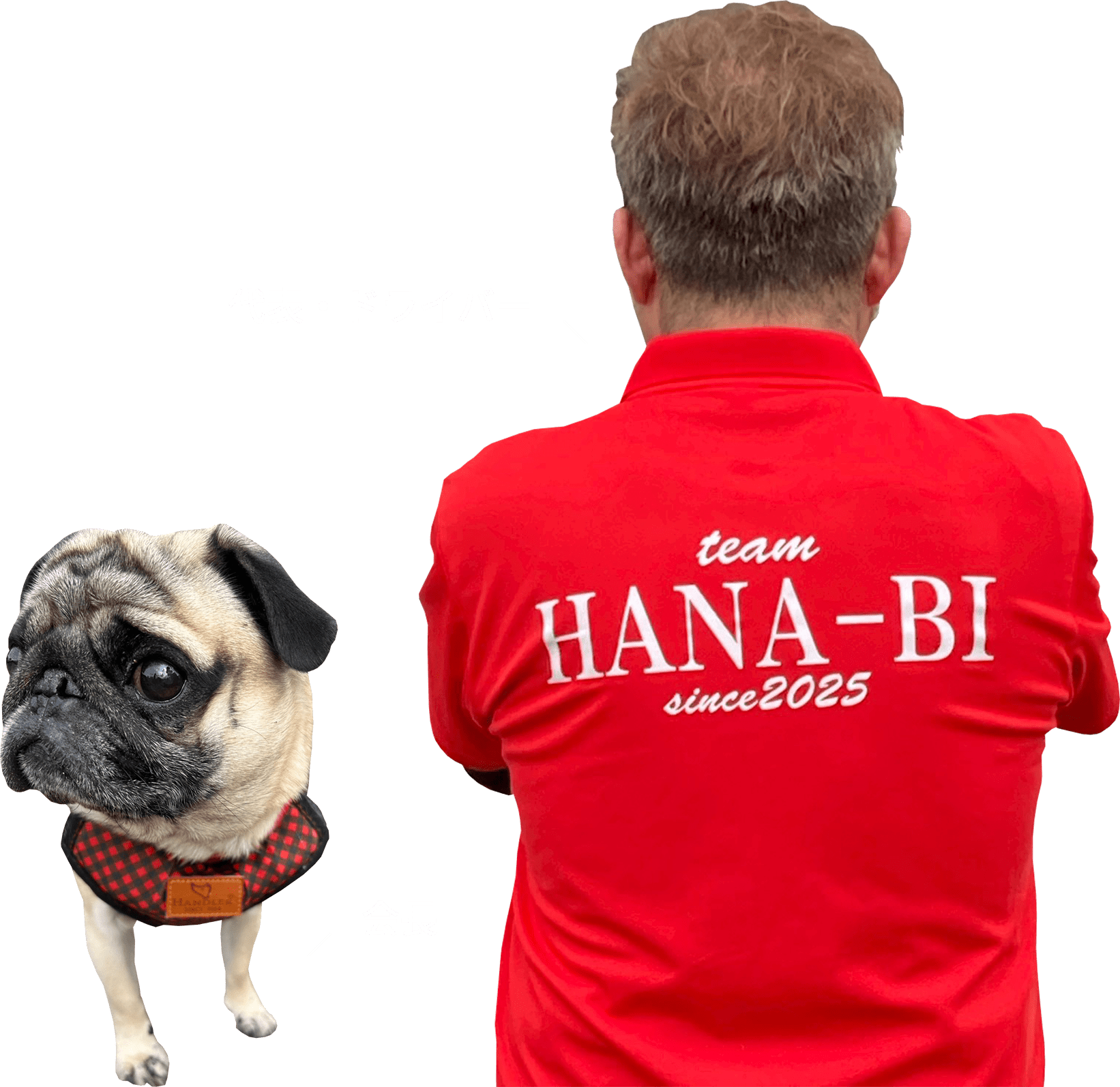 北九州のはなび企画は福祉を支える移送・支援サービスを行っています