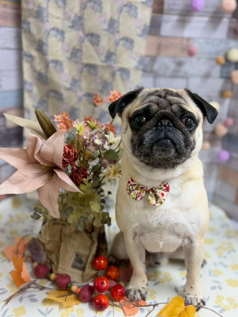 アチーブメント　ダイナミックコース1日目