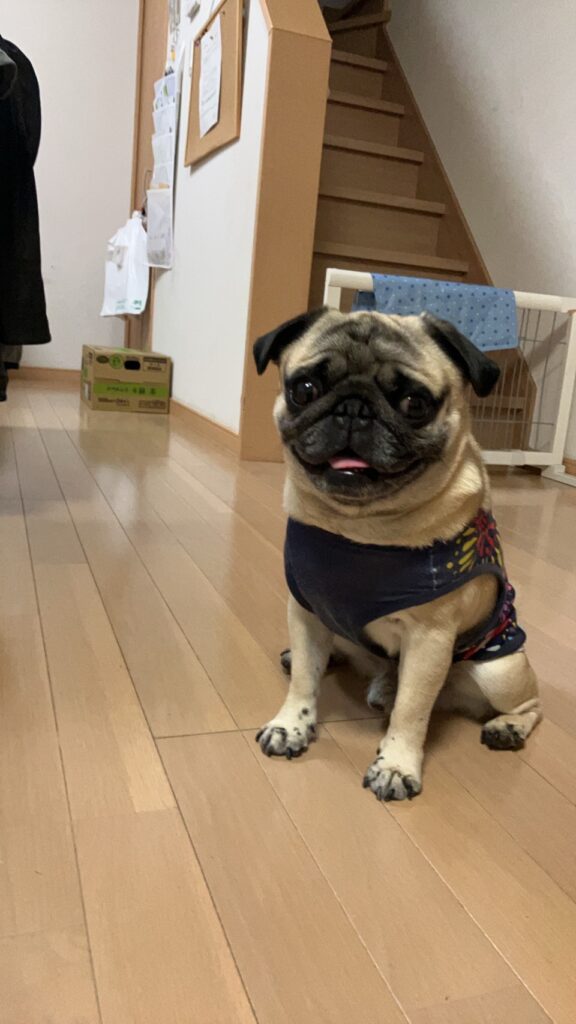 お知らせです！