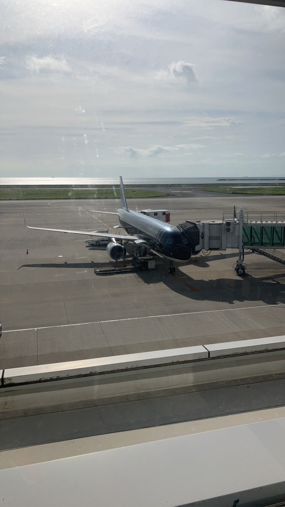 飛行機